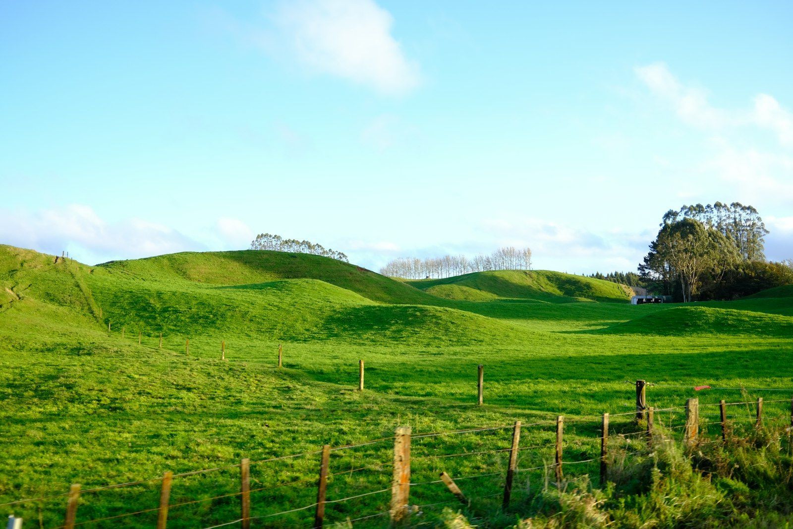A lush green hillside with a fence in the foreground.