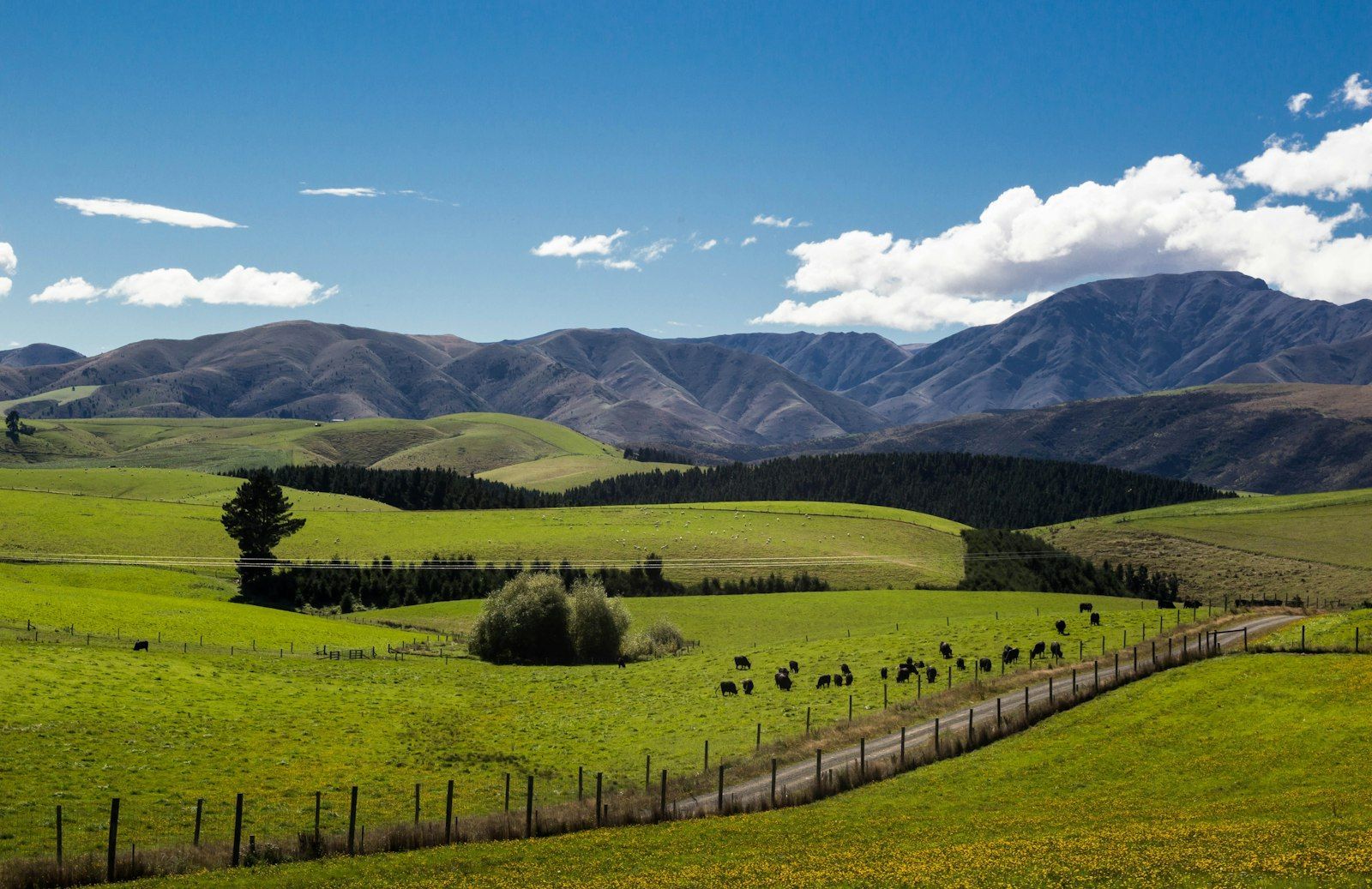 Mountain landscape, wide and still.