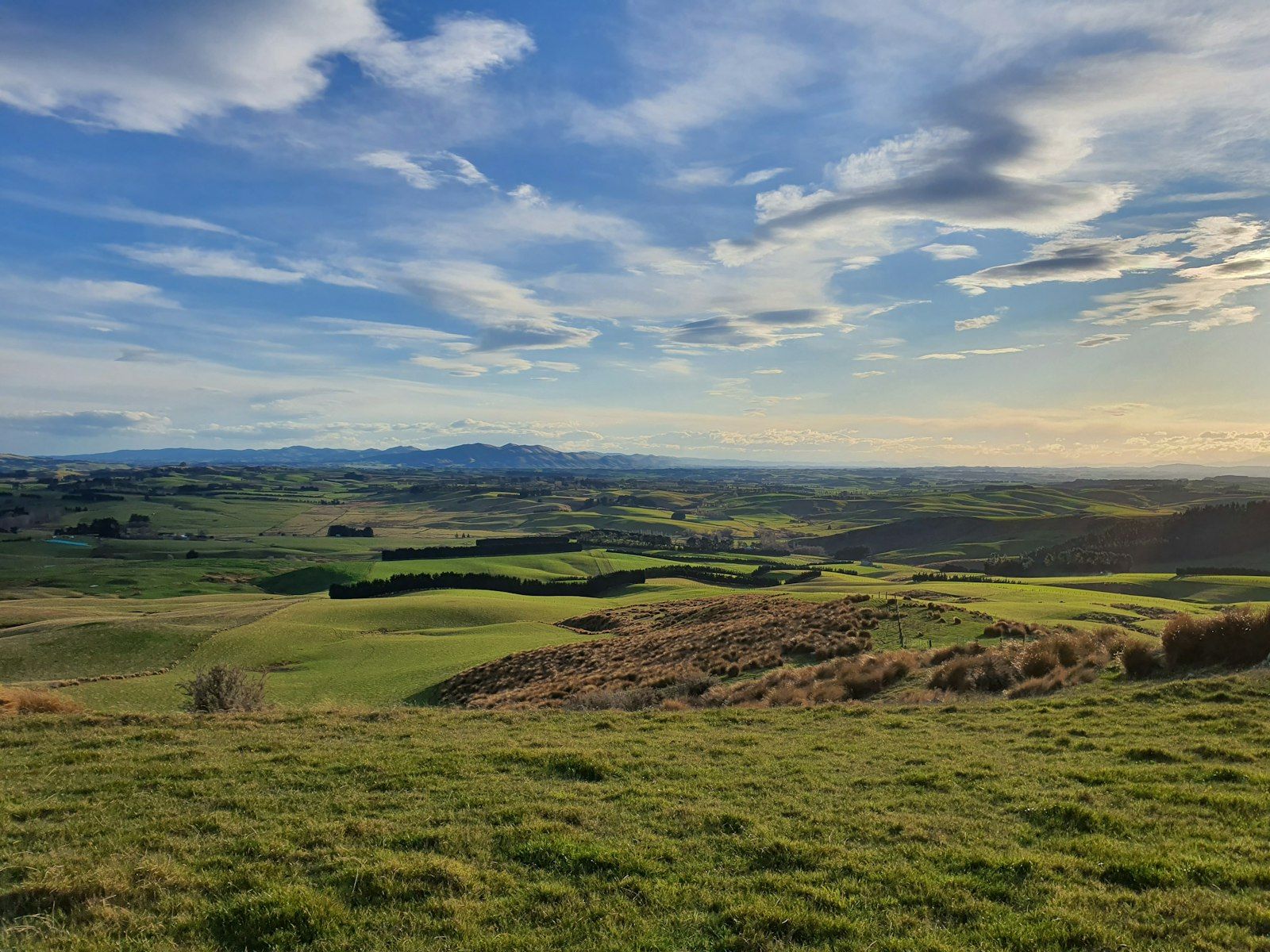 A green field under a blue sky.