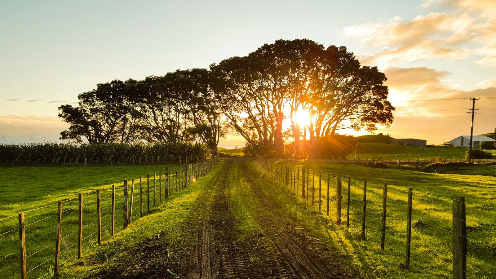 A country road between wooden fences.