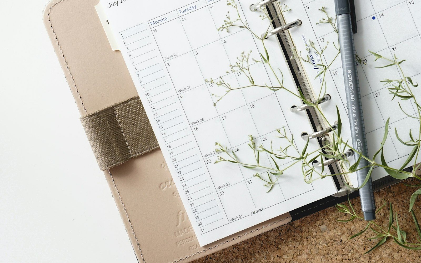 A pen resting on an open diary.